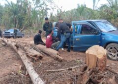 ชุมพร – หลักฐานชัดแก๊งมอดไม้เหิม ! เปิดยุทธการบุกทลาย “โรงเลื่อยเถื่อนกลางเขา” รอยต่อปะทิว–ท่าแซะ  