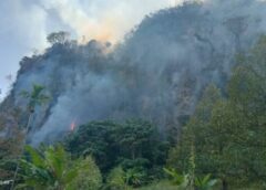 ชุมพรระอุ! ไฟป่าลุกลามกลางเขา อ.สวี เปลวไฟโหมท่ามกลางอากาศร้อนจัด