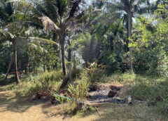 ชุมพร – สลดโหดสยอง! พบศพเฒ่า83 เผาโหดทั้งเป็น เหี้ยม ไหม้ไม่หมดเผาซ้ำ ข้างบ้านคนตายแท้ๆ