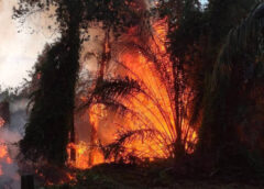 ชุมพรระอุ! ไฟป่าพรุลุกวอด 100 ไร่ ลามเร็วกลางอากาศร้อน เจ้าหน้าที่ระดมกำลังสกัดทันควัน