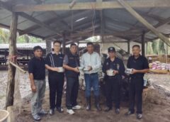 ชุมพร – ปศุสัตว์จังหวัดชุมพรเดินหน้าปั้นโคชนชุมพร ลุยตลาดทั่วไทย