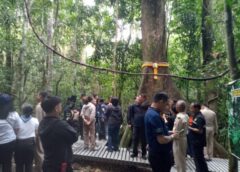 ชุมพร – ภาคใต้! ‘ป่าชุมชนบ้านห้วยใหญ่’ ลุยชิงเค้กป่าชุมชนดีเด่นระดับประเทศ! ​กรมป่าไม้จับมือราช กรุ๊ป ลงพื้นที่ท่าแซะตรวจความพร้อม ป่าดิบชื้นผืนสุดท้ายหลังพายุเกย์ ทะเลหมอกสวย-รุกขมรดก 200 ปี