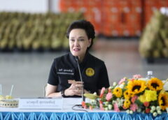 ชุมพร –  “ศุภจี” นำทีมพาณิชย์ลงพื้นที่ชุมพร ติดตามสถานการณ์ทุเรียนภาคใต้ เร่งบริหารผลผลิตช่วงโค้งสุดท้าย หลังทุเรียนไทยส่งออกแล้วเกือบ 1.11 ล้านตัน มูลค่ากว่า 1.27 แสนล้านบาท พร้อมสั่งทำ “ปฏิทินผลไม้รายจังหวัด” เชื่อมโยงตลาดล่วงหน้า เปิดทางการขนส่ง และผลักดันการแปรรูป ลดปัญหาอุปทานส่วนเกินในระยะยาว